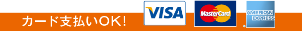 カード支払いOK! VISA MasterCard American Epress